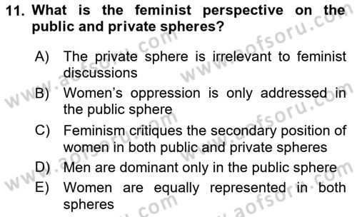 Contemporary Political İdeologies Dersi 2024 - 2025 Yılı (Final) Dönem Sonu Sınav Soruları 11. Soru