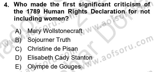 Contemporary Political İdeologies Dersi 2024 - 2025 Yılı (Final) Dönem Sonu Sınav Soruları 4. Soru