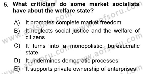 Contemporary Political İdeologies Dersi 2024 - 2025 Yılı (Final) Dönem Sonu Sınav Soruları 5. Soru