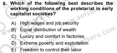 Contemporary Political İdeologies Dersi 2024 - 2025 Yılı (Final) Dönem Sonu Sınav Soruları 8. Soru