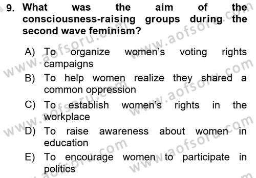 Contemporary Political İdeologies Dersi 2024 - 2025 Yılı (Final) Dönem Sonu Sınav Soruları 9. Soru