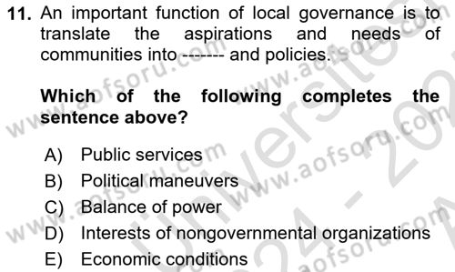 Local Governance Dersi 2024 - 2025 Yılı (Vize) Ara Sınav Soruları 11. Soru