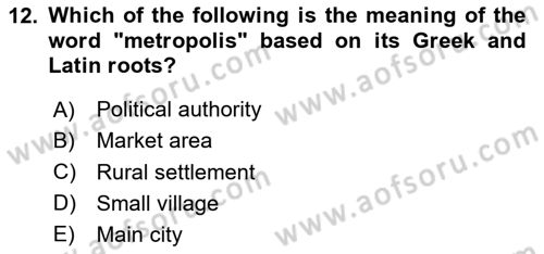 Local Governance Dersi 2025 - 2026 Yılı (Final) Dönem Sonu Sınav Soruları 12. Soru
