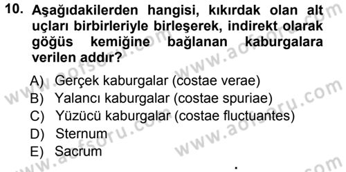 Temel Veteriner Anatomi Dersi 2012 - 2013 Yılı (Vize) Ara Sınav Soruları 10. Soru