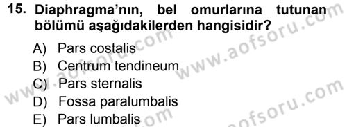 Temel Veteriner Anatomi Dersi Ara Sınavı Deneme Sınav Soruları 15. Soru