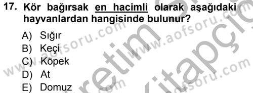 Temel Veteriner Anatomi Dersi Ara Sınavı Deneme Sınav Soruları 17. Soru