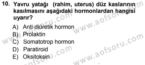 Temel Veteriner Anatomi Dersi 2012 - 2013 Yılı (Final) Dönem Sonu Sınav Soruları 10. Soru