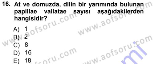 Temel Veteriner Anatomi Dersi 2012 - 2013 Yılı (Final) Dönem Sonu Sınav Soruları 16. Soru