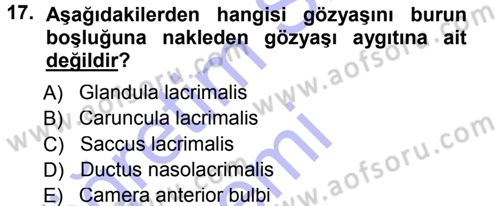 Temel Veteriner Anatomi Dersi 2012 - 2013 Yılı (Final) Dönem Sonu Sınav Soruları 17. Soru