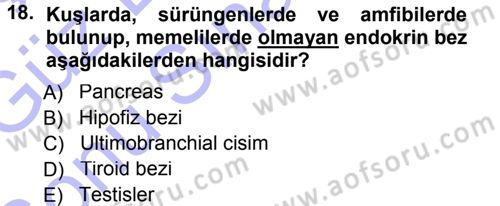 Temel Veteriner Anatomi Dersi 2012 - 2013 Yılı (Final) Dönem Sonu Sınav Soruları 18. Soru