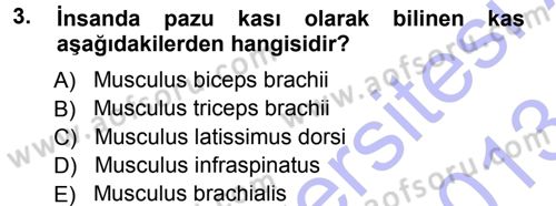 Temel Veteriner Anatomi Dersi 2012 - 2013 Yılı (Final) Dönem Sonu Sınav Soruları 3. Soru