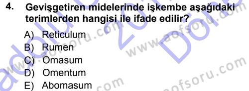 Temel Veteriner Anatomi Dersi 2012 - 2013 Yılı (Final) Dönem Sonu Sınav Soruları 4. Soru