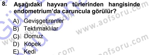 Temel Veteriner Anatomi Dersi 2012 - 2013 Yılı (Final) Dönem Sonu Sınav Soruları 8. Soru