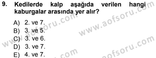 Temel Veteriner Anatomi Dersi 2012 - 2013 Yılı (Final) Dönem Sonu Sınav Soruları 9. Soru