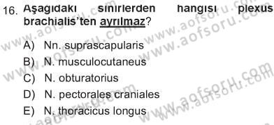 Temel Veteriner Anatomi Dersi 2012 - 2013 Yılı Tek Ders Sınav Soruları 16. Soru