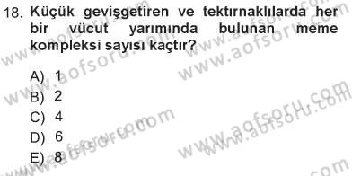 Temel Veteriner Anatomi Dersi 2012 - 2013 Yılı Tek Ders Sınav Soruları 18. Soru