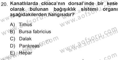 Temel Veteriner Anatomi Dersi 2012 - 2013 Yılı Tek Ders Sınav Soruları 20. Soru