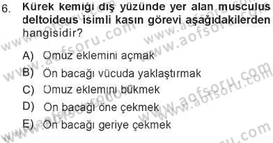 Temel Veteriner Anatomi Dersi 2012 - 2013 Yılı Tek Ders Sınav Soruları 6. Soru