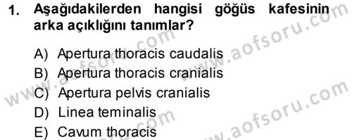 Temel Veteriner Anatomi Dersi 2013 - 2014 Yılı (Vize) Ara Sınav Soruları 1. Soru