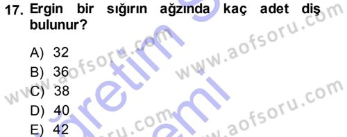 Temel Veteriner Anatomi Dersi Ara Sınavı Deneme Sınav Soruları 17. Soru