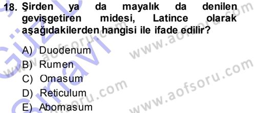 Temel Veteriner Anatomi Dersi 2013 - 2014 Yılı (Vize) Ara Sınav Soruları 18. Soru