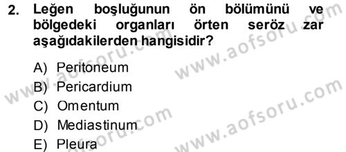 Temel Veteriner Anatomi Dersi 2013 - 2014 Yılı (Vize) Ara Sınavı 2. Soru