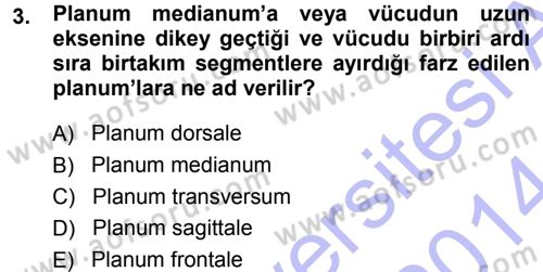 Temel Veteriner Anatomi Dersi 2013 - 2014 Yılı (Vize) Ara Sınavı 3. Soru