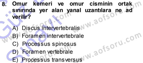 Temel Veteriner Anatomi Dersi 2013 - 2014 Yılı (Vize) Ara Sınavı 8. Soru