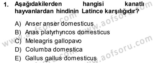 Temel Veteriner Anatomi Dersi 2013 - 2014 Yılı (Final) Dönem Sonu Sınav Soruları 1. Soru
