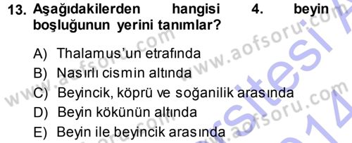 Temel Veteriner Anatomi Dersi 2013 - 2014 Yılı (Final) Dönem Sonu Sınav Soruları 13. Soru