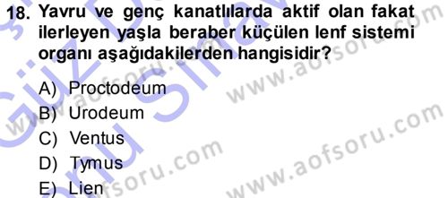 Temel Veteriner Anatomi Dersi 2013 - 2014 Yılı (Final) Dönem Sonu Sınav Soruları 18. Soru