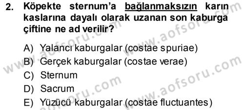 Temel Veteriner Anatomi Dersi 2013 - 2014 Yılı (Final) Dönem Sonu Sınav Soruları 2. Soru