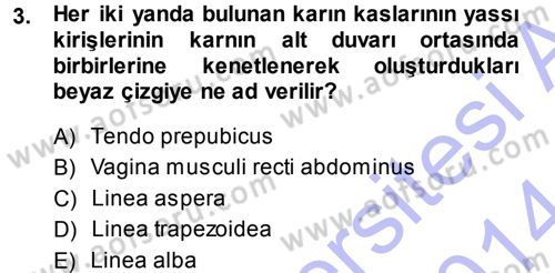 Temel Veteriner Anatomi Dersi 2013 - 2014 Yılı (Final) Dönem Sonu Sınav Soruları 3. Soru