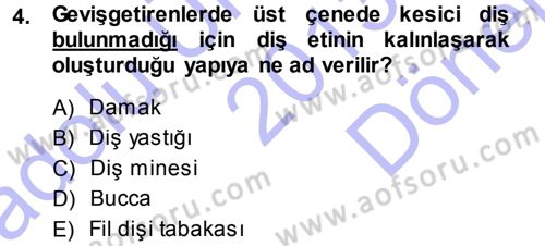 Temel Veteriner Anatomi Dersi 2013 - 2014 Yılı (Final) Dönem Sonu Sınav Soruları 4. Soru