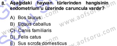 Temel Veteriner Anatomi Dersi 2013 - 2014 Yılı (Final) Dönem Sonu Sınav Soruları 8. Soru