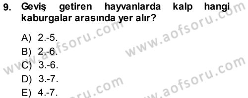 Temel Veteriner Anatomi Dersi 2013 - 2014 Yılı (Final) Dönem Sonu Sınav Soruları 9. Soru