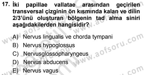 Temel Veteriner Anatomi Dersi 2013 - 2014 Yılı Tek Ders Sınavı 17. Soru