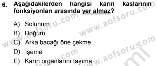 Temel Veteriner Anatomi Dersi 2013 - 2014 Yılı Tek Ders Sınav Soruları 6. Soru
