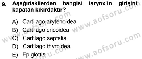 Temel Veteriner Anatomi Dersi 2013 - 2014 Yılı Tek Ders Sınav Soruları 9. Soru