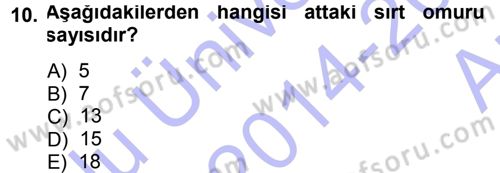 Temel Veteriner Anatomi Dersi 2014 - 2015 Yılı (Vize) Ara Sınav Soruları 10. Soru