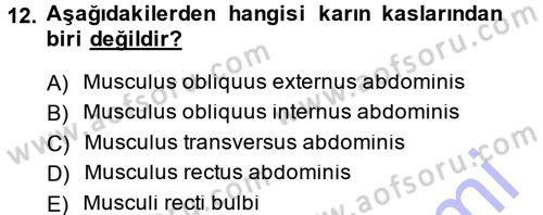 Temel Veteriner Anatomi Dersi Ara Sınavı Deneme Sınav Soruları 12. Soru