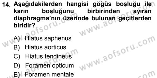 Temel Veteriner Anatomi Dersi 2014 - 2015 Yılı (Vize) Ara Sınav Soruları 14. Soru