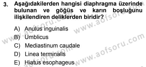 Temel Veteriner Anatomi Dersi Ara Sınavı Deneme Sınav Soruları 3. Soru