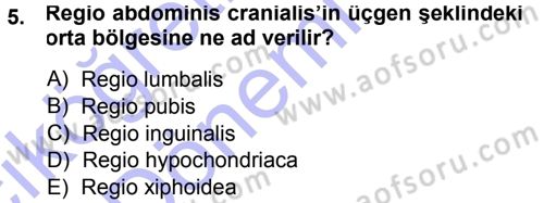 Temel Veteriner Anatomi Dersi Ara Sınavı Deneme Sınav Soruları 5. Soru