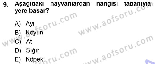 Temel Veteriner Anatomi Dersi 2014 - 2015 Yılı (Vize) Ara Sınav Soruları 9. Soru
