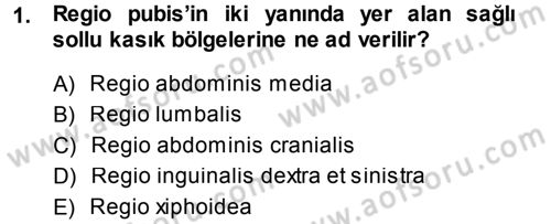 Temel Veteriner Anatomi Dersi 2014 - 2015 Yılı (Final) Dönem Sonu Sınav Soruları 1. Soru