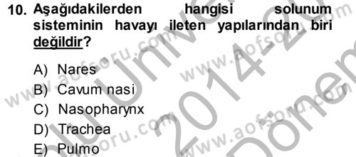 Temel Veteriner Anatomi Dersi 2014 - 2015 Yılı (Final) Dönem Sonu Sınav Soruları 10. Soru