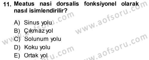 Temel Veteriner Anatomi Dersi 2014 - 2015 Yılı (Final) Dönem Sonu Sınav Soruları 11. Soru