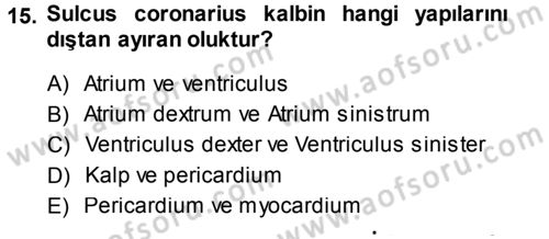 Temel Veteriner Anatomi Dersi 2014 - 2015 Yılı (Final) Dönem Sonu Sınav Soruları 15. Soru