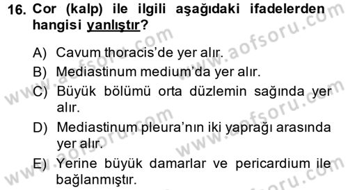 Temel Veteriner Anatomi Dersi 2014 - 2015 Yılı (Final) Dönem Sonu Sınav Soruları 16. Soru